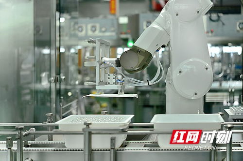 搶占智高點 智能制造驅(qū)動寧鄉(xiāng)經(jīng)開區(qū)高質(zhì)量發(fā)展，智能機(jī)器人研發(fā)成引擎