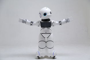 搶錢時機(jī) 國家重拳出擊，撥6億推動智能機(jī)器人市場研發(fā)騰飛