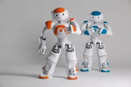 雙臂協(xié)作機(jī)器人 智能機(jī)器人管家的雛形與未來發(fā)展趨勢