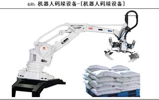 智能機(jī)器人的未來(lái)之路 探索機(jī)器人碼垛成套設(shè)備的研發(fā)與應(yīng)用